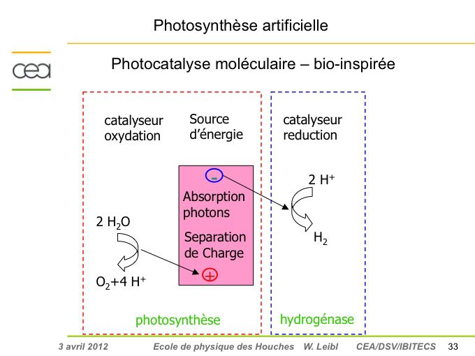 découvrez l'énergie bio-inspirée, une approche innovante qui s'inspire des mécanismes naturels pour optimiser votre consommation d'énergie. plongez dans un univers où la durabilité et l'efficacité s'unissent pour construire un avenir énergétique respectueux de l'environnement.