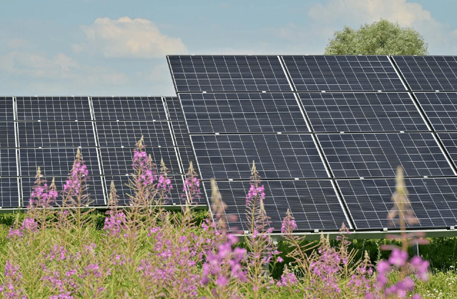 découvrez comment l'énergie durable transforme l'agriculture en améliorant la production tout en respectant l'environnement. explorez les innovations et solutions écologiques qui favorisent une agriculture plus verte et durable.