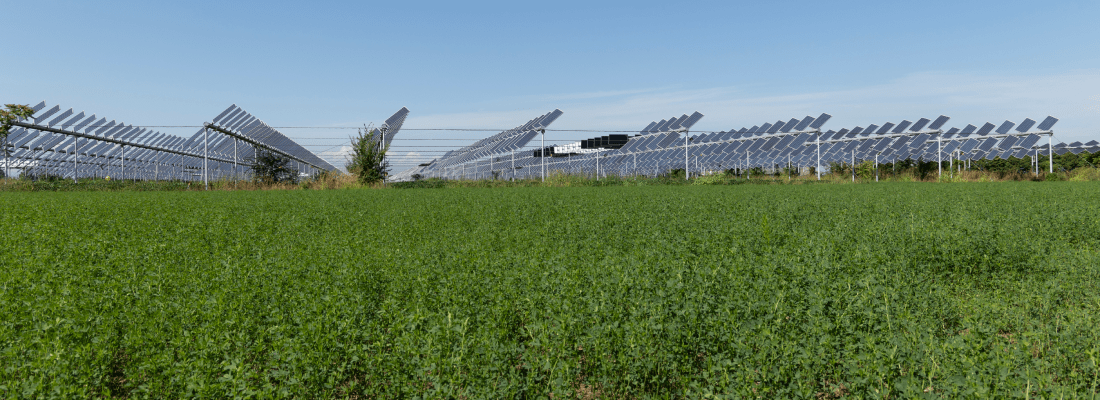 découvrez comment l'énergie solaire transforme l'agriculture en offrant des solutions durables et rentables. explorez les avantages de l'énergie renouvelable pour les exploitations agricoles, de l'irrigation à la réduction des coûts énergétiques. adoptez une agriculture plus verte grâce à l'énergie solaire.