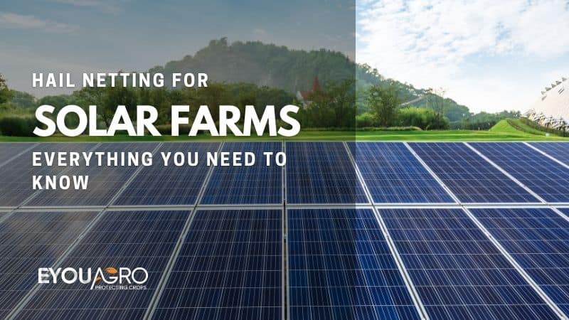 découvrez comment l'énergie solaire peut transformer les fermes en offrant des solutions durables et économiques. optimisez votre production agricole tout en réduisant votre empreinte carbone grâce à des systèmes solaires adaptés à vos besoins.