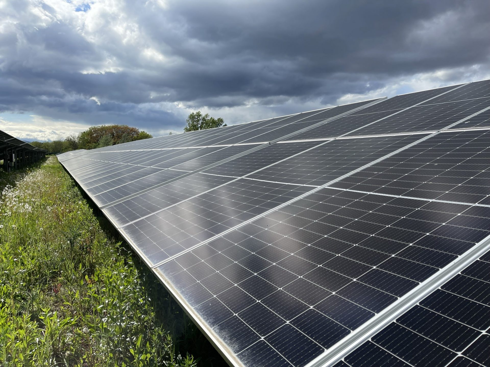 découvrez comment l'énergie solaire transforme les fermes en solutions durables et économiques. adoptez des panneaux solaires pour réduire vos coûts énergétiques tout en préservant l'environnement. informez-vous sur les avantages de l'énergie renouvelable pour l'agriculture moderne.