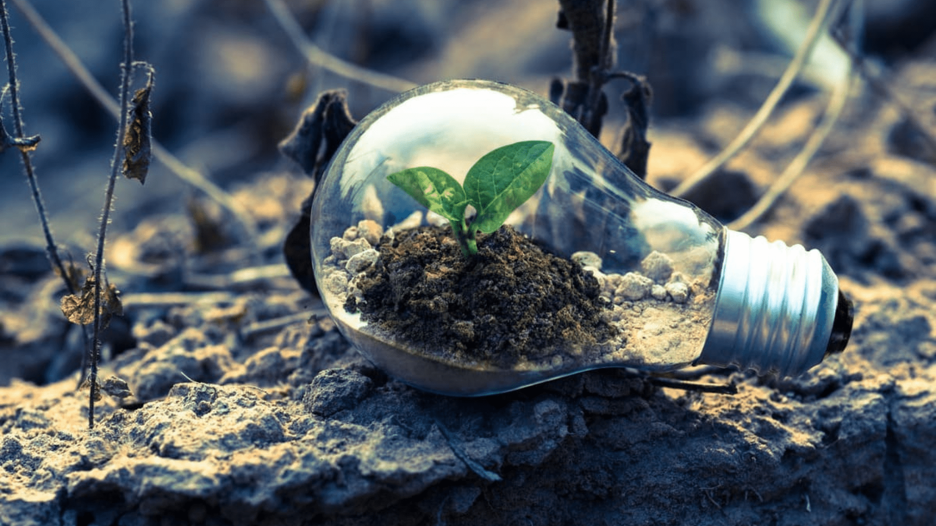 découvrez l'univers de l'énergie verte : des solutions durables et respectueuses de l'environnement pour réduire votre empreinte carbone et contribuer au développement durable. engagez-vous pour un avenir plus écologique dès aujourd'hui.
