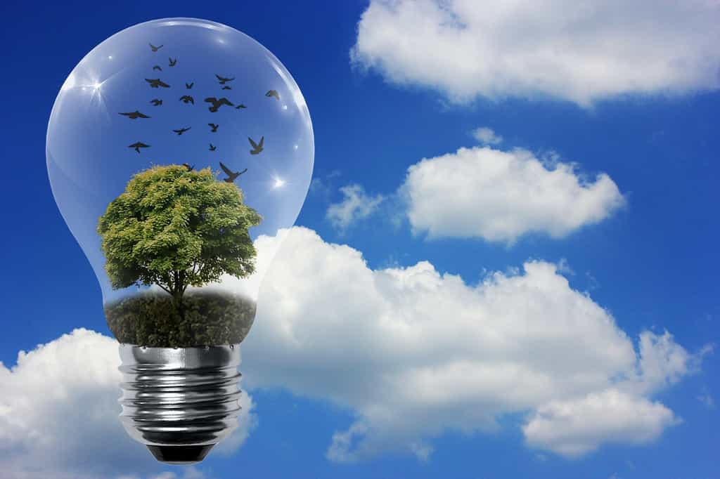 découvrez comment les énergies alternatives façonnent un avenir durable. explorez les solutions innovantes qui réduisent notre empreinte carbone et préservent les ressources naturelles pour les générations futures.