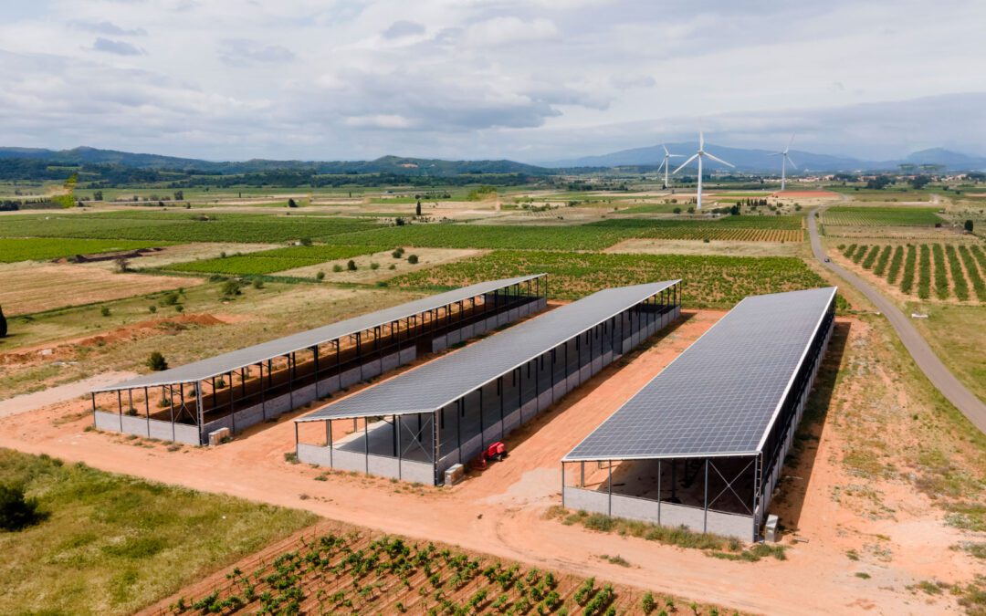 découvrez comment les énergies renouvelables transforment les hangars agricoles en espaces durables et éco-efficaces. explorez les solutions innovantes pour intégrer l'énergie solaire, éolienne et d'autres sources renouvelables dans l'agriculture moderne, alliant performance économique et respect de l'environnement.