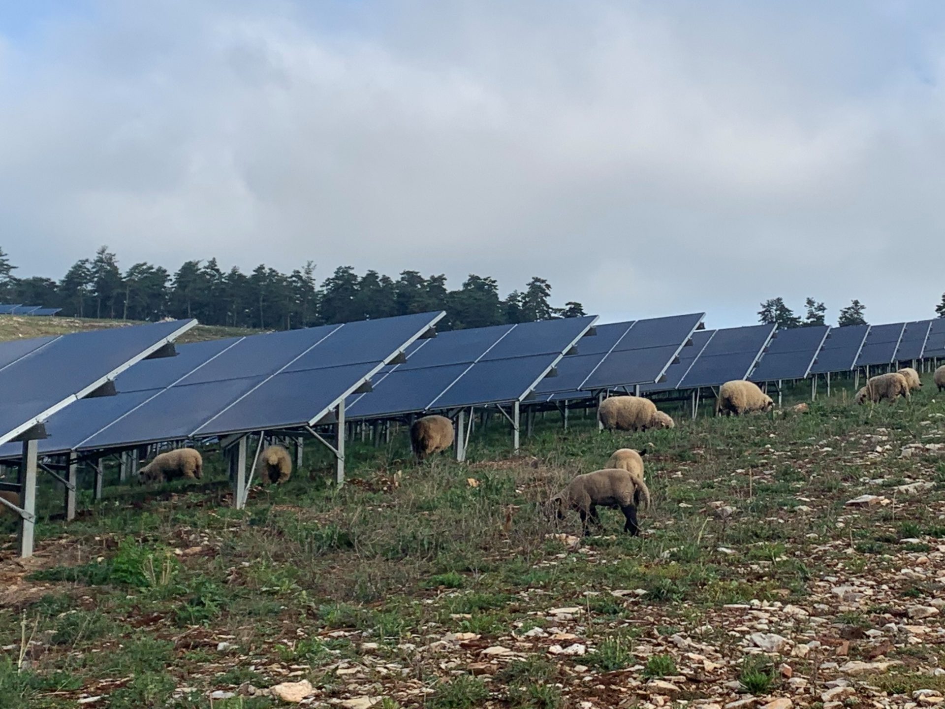 découvrez comment les énergies solaires peuvent transformer le développement durable dans les zones rurales. explorez les avantages écologiques et économiques de l'énergie solaire pour favoriser une agriculture durable et améliorer la qualité de vie des communautés rurales.
