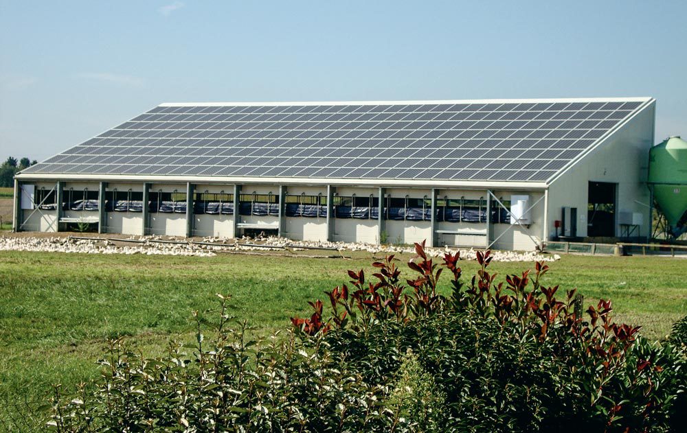 optimisez la performance de votre hangar agricole solaire avec notre service d'entretien professionnel. assurez la durabilité de vos installations et maximisez votre production d'énergie renouvelable grâce à une maintenance régulière et adaptée.