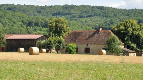 obtenez une estimation précise de la valeur de vos bâtiments agricoles grâce à notre expertise spécialisée. découvrez nos services personnalisés pour évaluer chaque aspect de votre patrimoine immobilier agricole.
