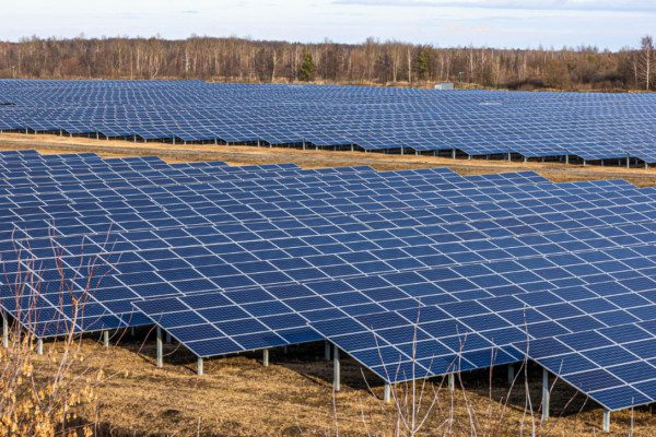 découvrez notre ferme photovoltaïque, un espace dédié à la production d'énergie solaire durable. apprenez comment nous transformons la lumière du soleil en électricité, tout en préservant notre environnement. rejoignez la révolution énergétique et investissez dans un avenir plus vert avec notre technologie innovante.