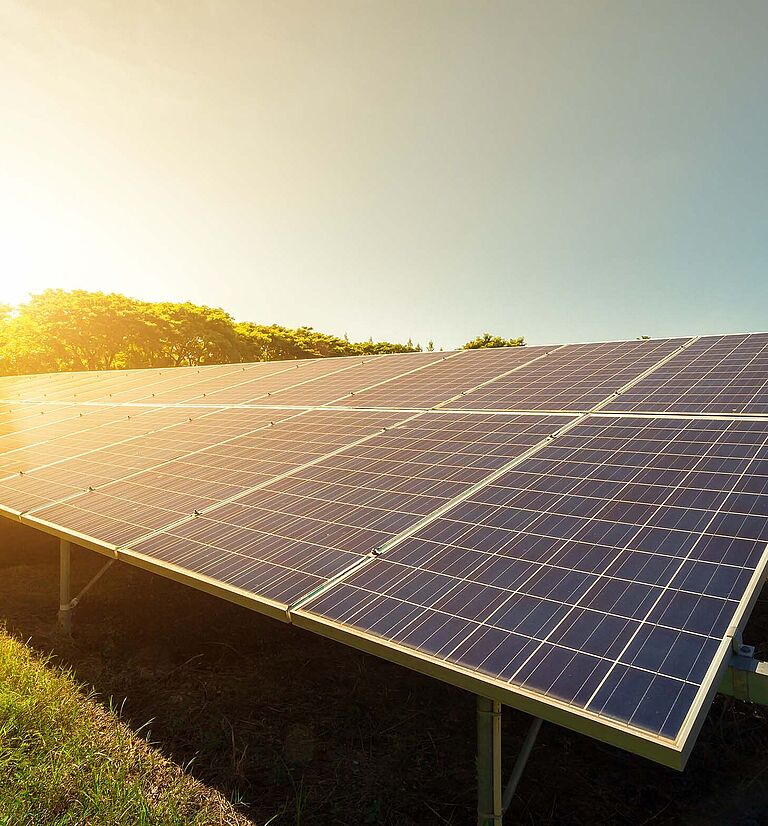 découvrez notre ferme photovoltaïque innovante, dédiée à la production d'énergie renouvelable grâce à des panneaux solaires de pointe. engagez-vous pour l'environnement tout en profitant d'une énergie propre et durable.