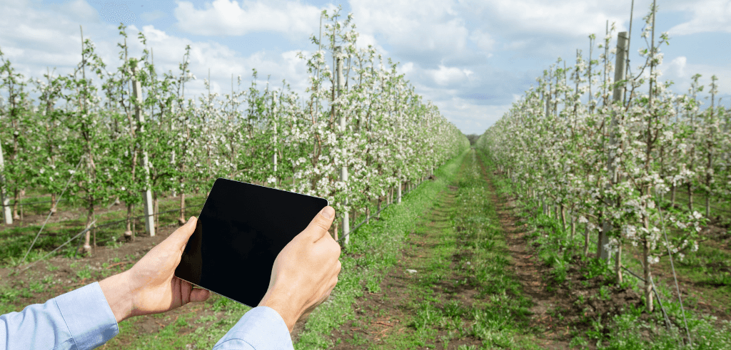 découvrez comment les fermes modernes allient innovations technologiques et pratiques durables pour transformer l'agriculture. explorez les méthodes novatrices qui améliorent la productivité tout en préservant l'environnement.
