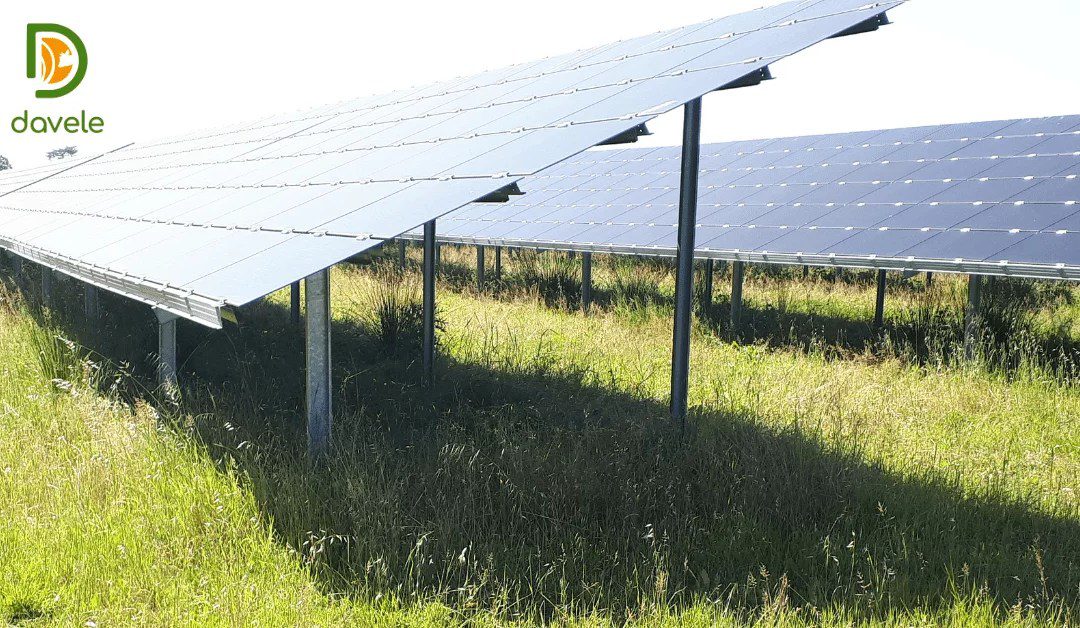 découvrez comment l'énergie solaire peut revitaliser la fertilité des sols, favorisant une agriculture durable et respectueuse de l'environnement. explorez les techniques innovantes qui allient énergie renouvelable et amélioration des terres agricoles pour assurer un avenir plus vert.