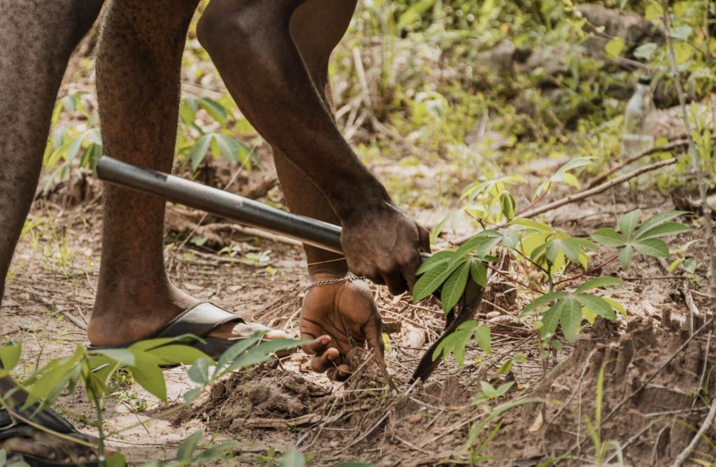découvrez comment l'énergie solaire peut améliorer la fertilité des sols, en favorisant des pratiques agricoles durables et respectueuses de l'environnement. optimisez vos cultures grâce à des solutions innovantes qui allient respect de la nature et performances agricoles.