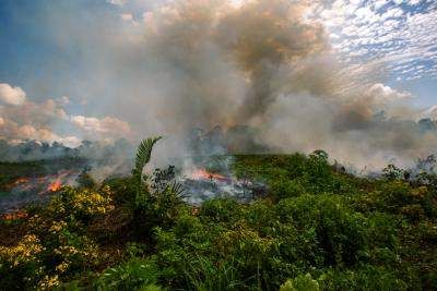 découvrez l'harmonie entre les forêts et l'agriculture durable, une approche essentielle pour préserver notre environnement tout en soutenant des pratiques agricoles responsables. explorez les bénéfices écologiques et économiques de cette synergie.