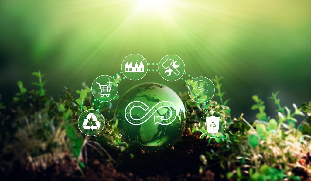découvrez nos formations en économie circulaire pour maîtriser les enjeux environnementaux et optimiser la gestion des ressources. apprenez à intégrer des pratiques durables dans votre entreprise et à contribuer à un avenir plus responsable.