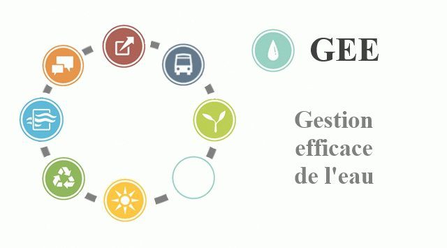 découvrez des stratégies de gestion efficace pour optimiser votre organisation, améliorer la productivité et atteindre vos objectifs rapidement. apprenez à gérer vos ressources, votre temps et vos équipes avec succès.