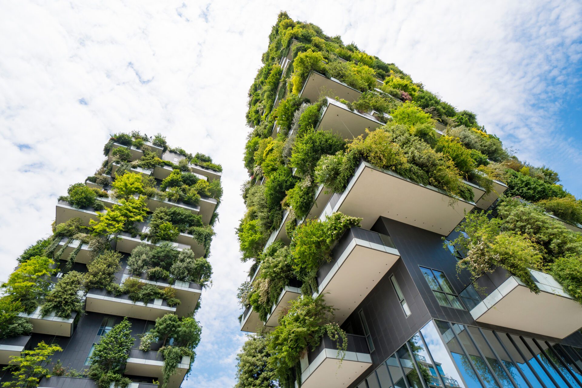 découvrez greenbuild, votre partenaire de choix pour une construction durable. nous allions innovation et écologie pour bâtir des espaces respectueux de l'environnement, alliant performance énergétique et esthétisme. engagez-vous pour un avenir plus vert avec nos solutions durables.