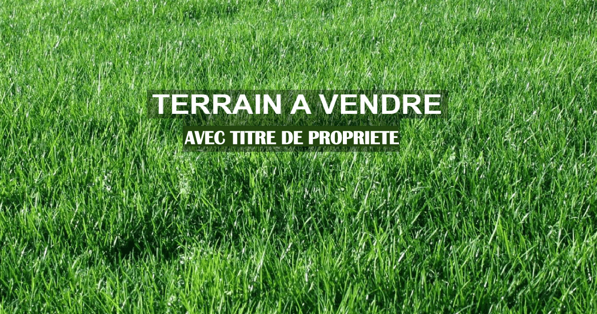 découvrez notre guide d'achat foncier complet, conçu pour vous accompagner dans le processus d'acquisition de terrains. apprenez les étapes essentielles, les critères de sélection et les astuces pour réussir votre investissement foncier.