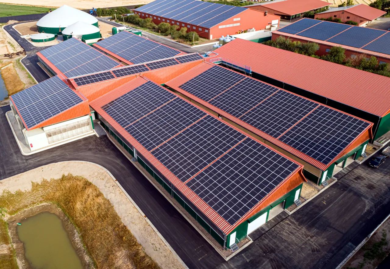 découvrez des solutions innovantes pour un hangar agricole durable, alliant protection de vos équipements et respect de l'environnement. optimisez votre espace de stockage tout en investissant dans des matériaux écoresponsables.