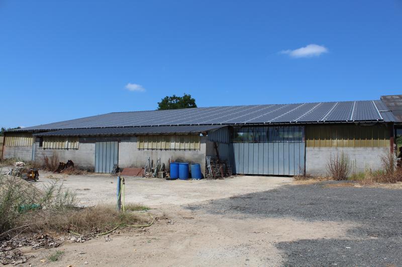 découvrez comment les hangars agricoles peuvent promouvoir la biodiversité, en intégrant des pratiques durables et respectueuses de l'environnement. apprenez les enjeux liés à l'agriculture et à la préservation des écosystèmes.