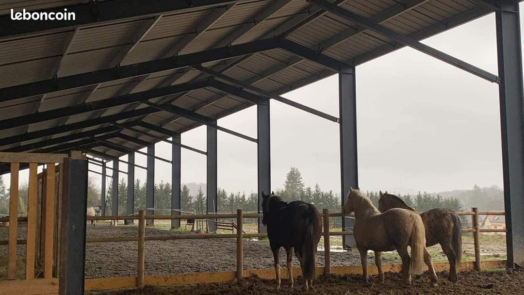 découvrez comment obtenir un hangar agricole gratuit pour optimiser vos activités de culture et d'élevage. profitez d'opportunités uniques pour renforcer votre exploitation agricole sans frais supplémentaires.