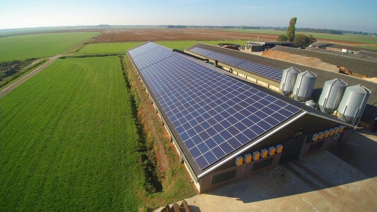 découvrez les avantages d'un hangar agricole solaire : une solution écologique et économique pour vos exploitations agricoles, alliant efficacité énergétique et préservation de l'environnement.