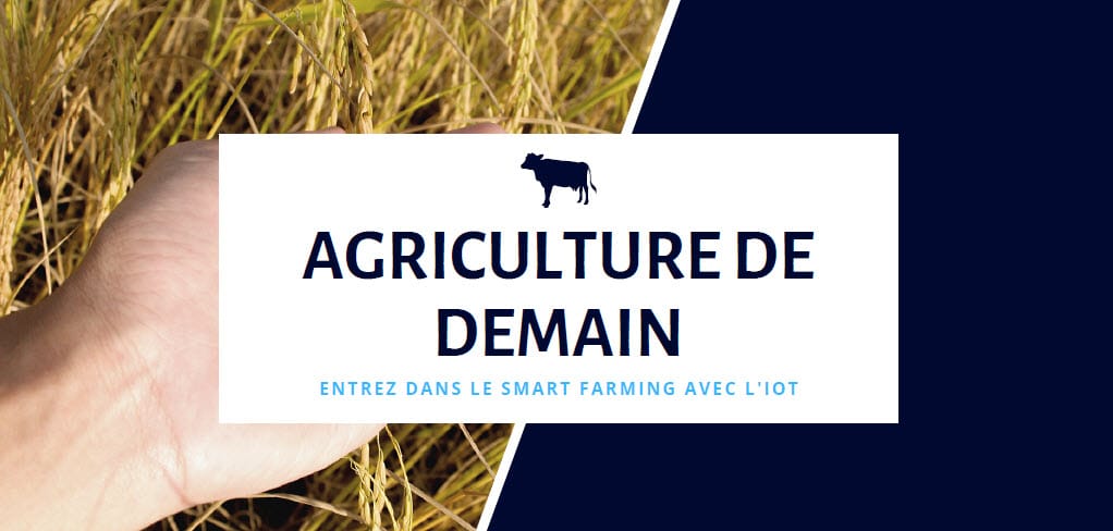 découvrez les hangars agricoles intelligents, la solution innovante pour optimiser le stockage et la gestion de vos équipements et fournitures agricoles. alliant technologie et durabilité, ces structures modernes garantissent une protection optimale de vos biens tout en facilitant leur accessibilité.