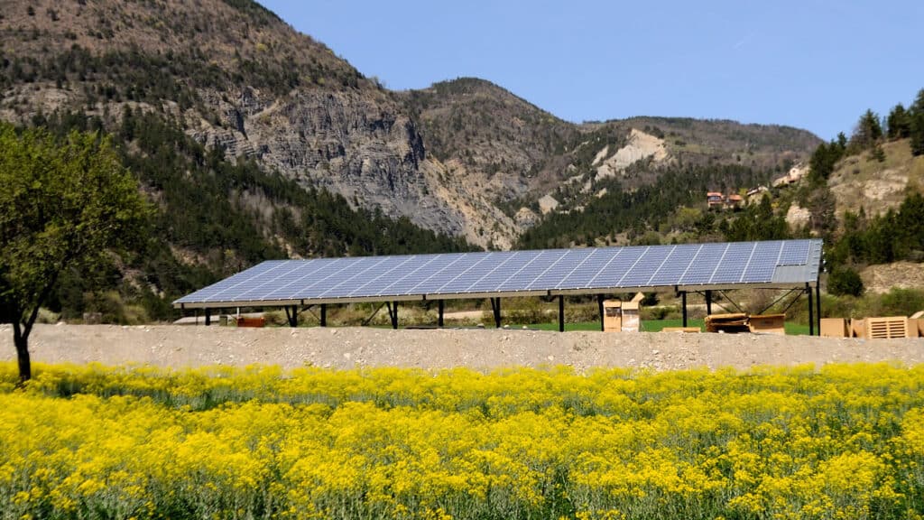 découvrez comment les hangars photovoltaïques peuvent promouvoir la biodiversité tout en produisant une énergie durable. explorez les avantages environnementaux et les solutions innovantes qui allient agriculture, protection de la nature et énergie renouvelable.