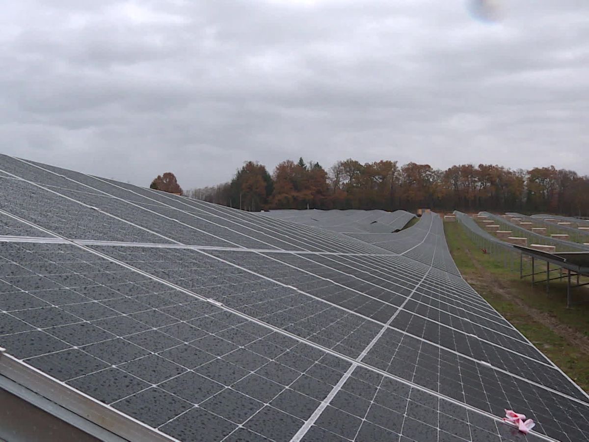 découvrez comment les hangars photovoltaïques contribuent à la biodiversité en alliant innovation énergétique et protection de l'environnement. explorez les avantages écologiques et les solutions durables qu'ils offrent pour favoriser la faune et la flore tout en produisant de l'énergie renouvelable.