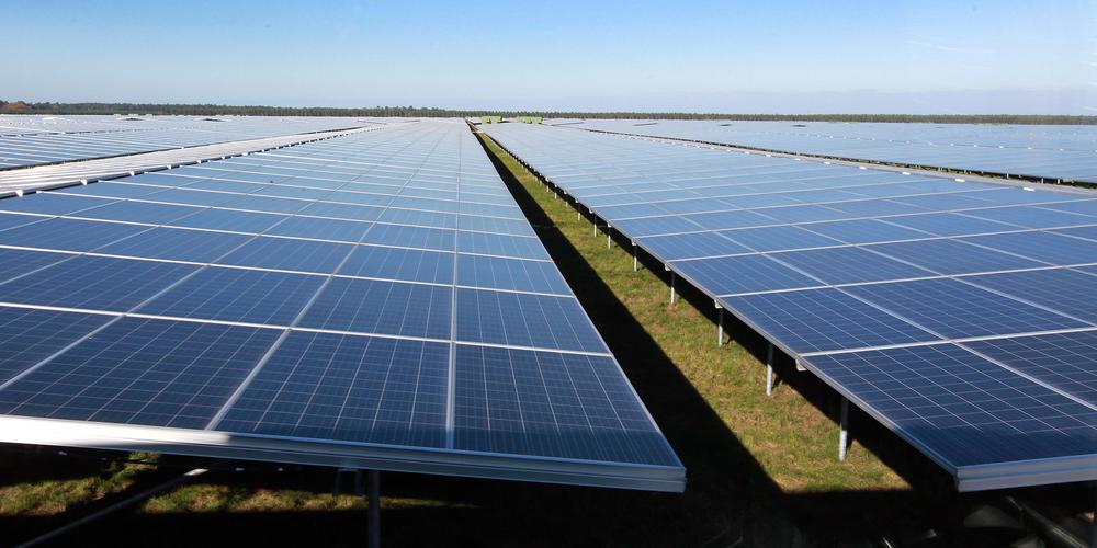 découvrez comment les hangars photovoltaïques favorisent la biodiversité en offrant des habitats naturels pour la faune et en contribuant à la durabilité environnementale. apprenez davantage sur cette synergie entre énergie renouvelable et protection de la biodiversité.