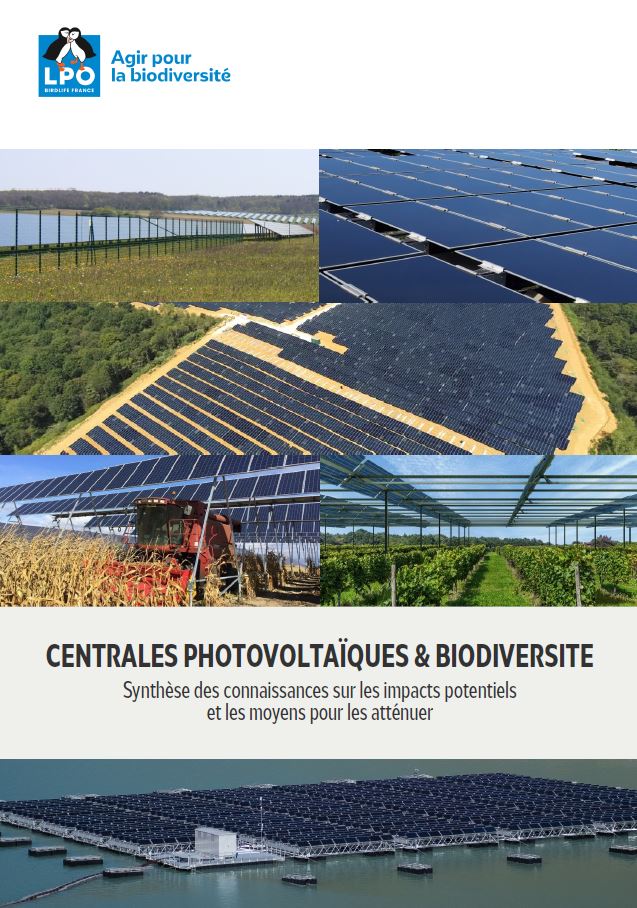 découvrez comment les hangars photovoltaïques peuvent favoriser la biodiversité en préservant les habitats naturels tout en produisant de l'énergie renouvelable. explorez les synergies entre l'innovation énergétique et la protection de l'environnement.
