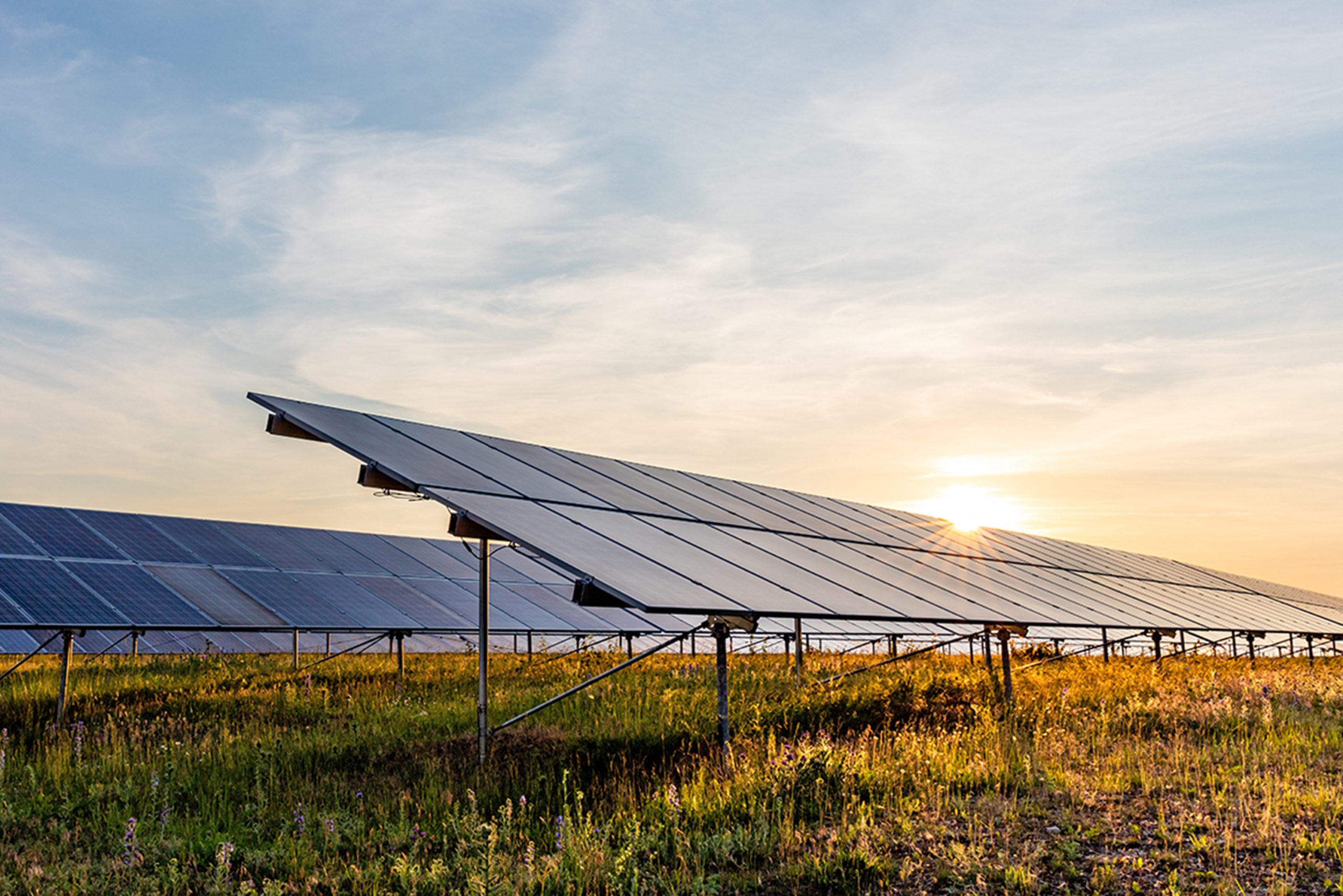 découvrez les avantages des hangars photovoltaïques rurales : une solution intelligente pour allier agriculture et énergies renouvelables, optimiser vos espaces tout en contribuant à la transition énergétique.
