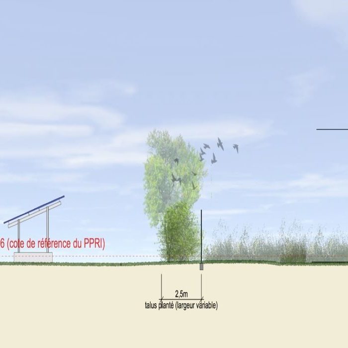 découvrez l'impact environnemental des installations photovoltaïques, de la réduction des émissions de co2 à la gestion des ressources naturelles, et comment cette technologie contribue à la transition énergétique durable.