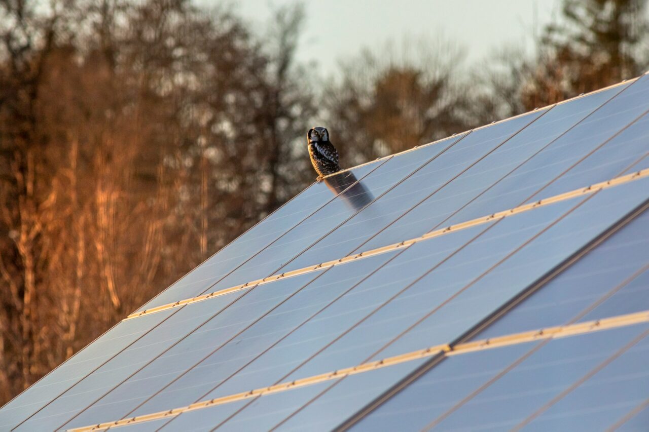découvrez l'impact des hangars photovoltaïques sur l'environnement et l'économie, et comment ils contribuent à la transition énergétique en optimisant l'espace tout en produisant une énergie renouvelable.