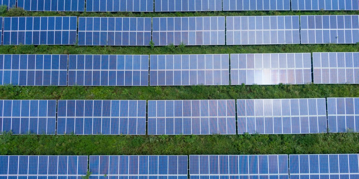 découvrez comment les installations photovoltaïques influencent la biodiversité. cette analyse met en lumière les interactions entre l'énergie solaire et les écosystèmes, soulignant à la fois les bénéfices et les enjeux liés à la préservation de la faune et de la flore.