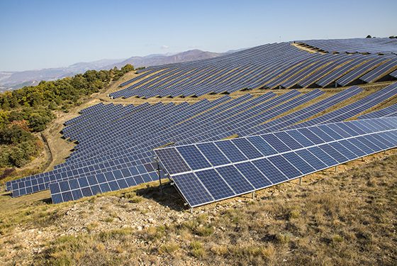 découvrez comment les installations photovoltaïques influencent la biodiversité. cette analyse explore les effets positifs et négatifs de l'énergie solaire sur les écosystèmes, les espèces locales et les pratiques durables pour préserver la nature tout en produisant de l'énergie renouvelable.