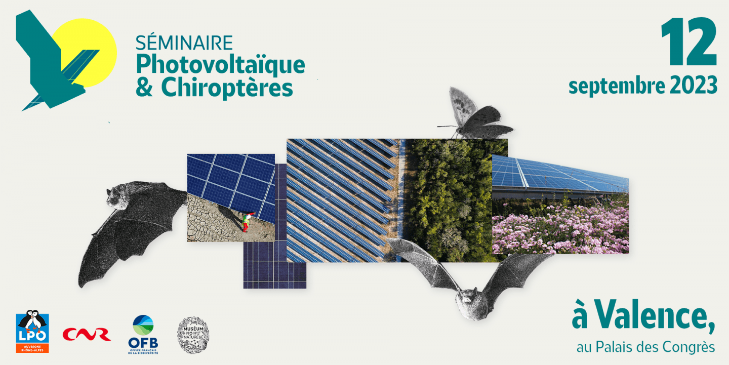 découvrez comment les installations photovoltaïques influencent la biodiversité. analyse des interactions entre les panneaux solaires et les écosystèmes environnants, et exploration des solutions pour minimiser les impacts environnementaux tout en favorisant la durabilité.