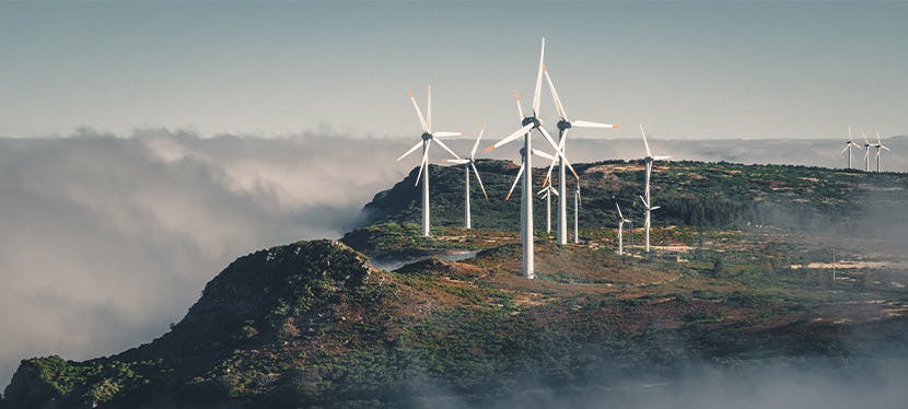 découvrez les impacts environnementaux des énergies renouvelables, en explorant leurs bénéfices écologiques, leurs défis et leur rôle dans la lutte contre le changement climatique. une analyse approfondie pour comprendre comment ces sources d'énergie peuvent contribuer à un avenir durable.