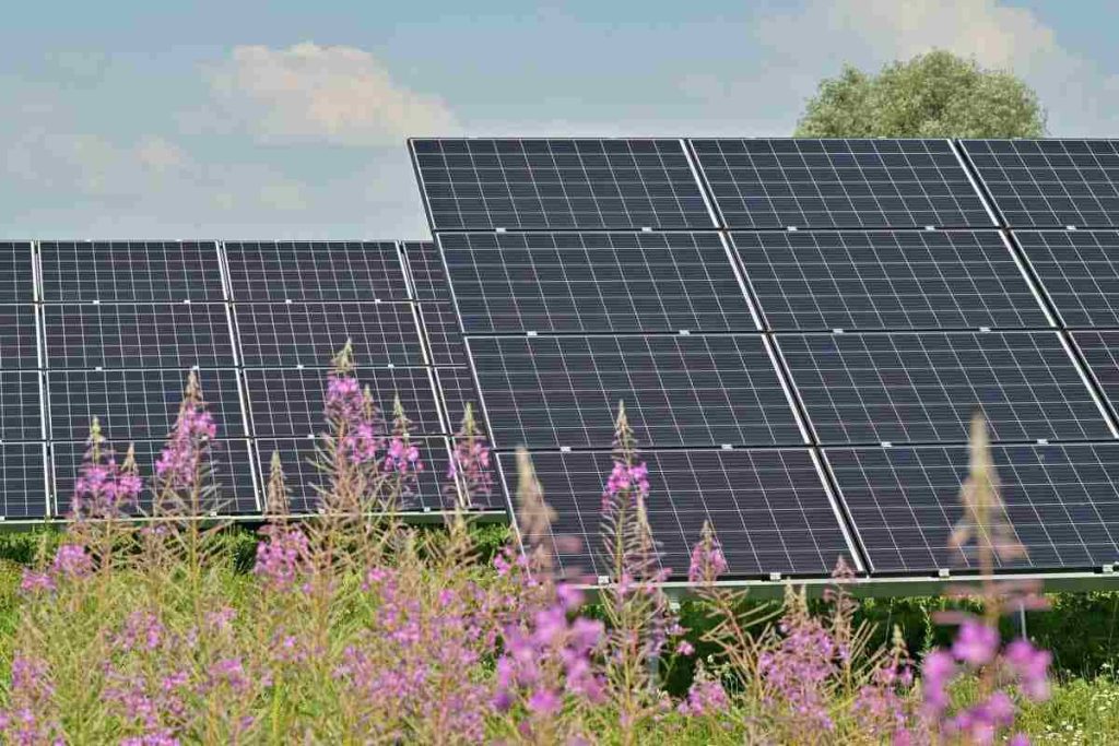 découvrez les inconvénients du photovoltaïque : des coûts d'installation élevés aux défis liés à l'efficacité énergétique. informez-vous sur les limites environnementales et les contraintes techniques afin de prendre une décision éclairée sur l'énergie solaire.
