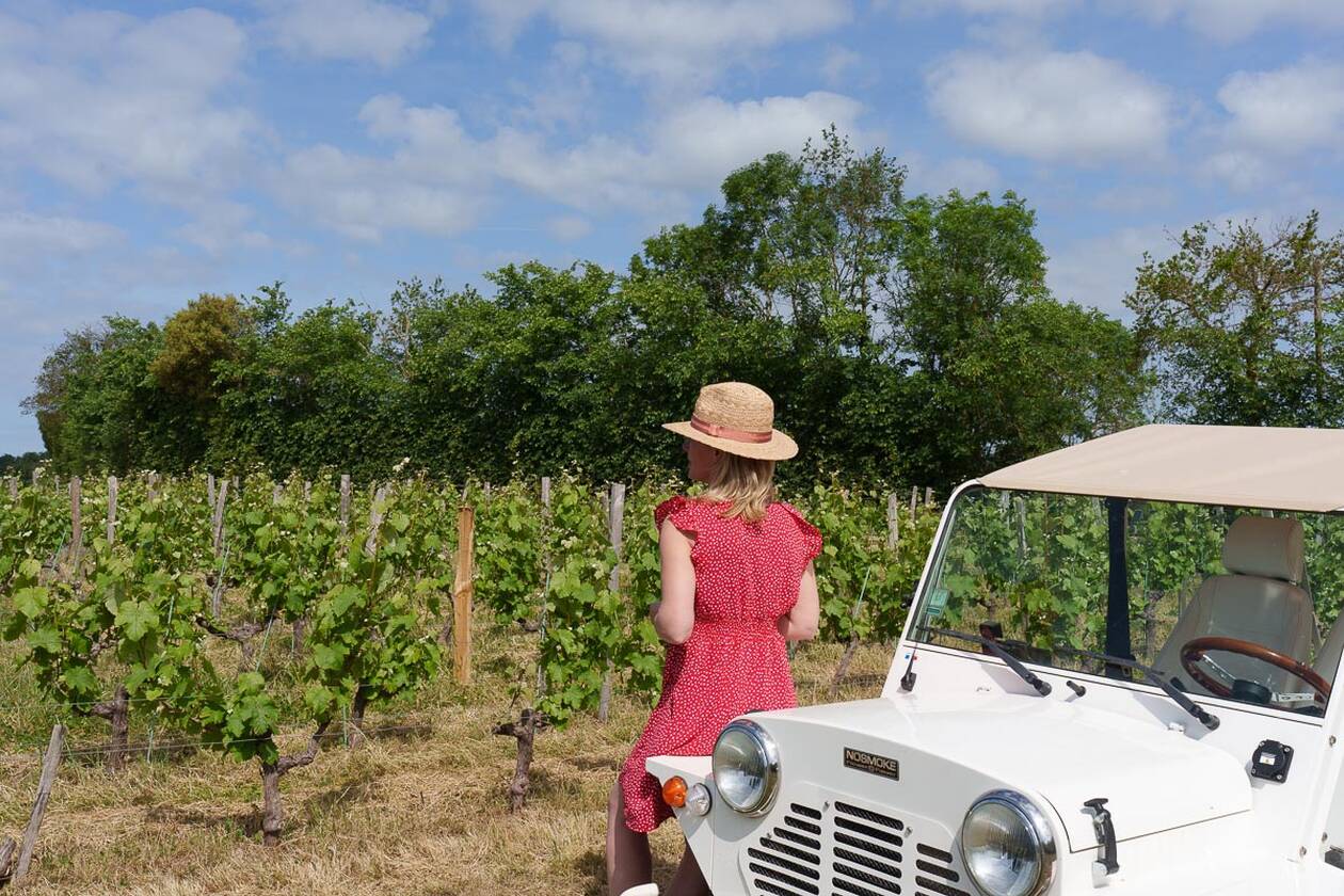 découvrez comment les influenceurs du secteur de l'énergie révolutionnent l'agriculture avec des pratiques innovantes et durables. explorez leur impact sur l'adoption des technologies vertes et la sensibilisation aux enjeux environnementaux.