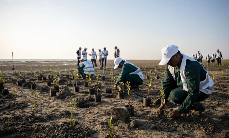 découvrez des initiatives vertes inspirantes qui réduisent l'impact environnemental et promeuvent la durabilité. explorez des projets innovants et des actions citoyennes pour bâtir un avenir plus écologique.