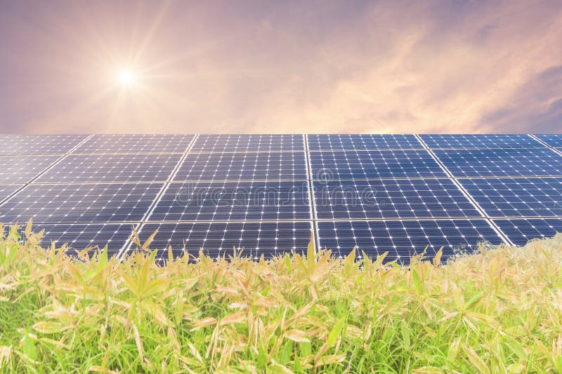 découvrez comment les panneaux photovoltaïques représentent une innovation verte cruciale pour un avenir durable. apprenez-en davantage sur leurs avantages environnementaux, leur fonctionnement et comment ils contribuent à la réduction de l'empreinte carbone.