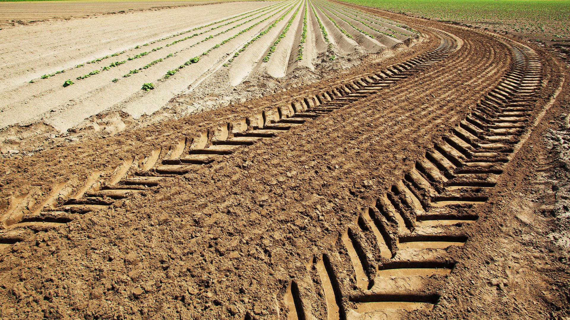 découvrez les dernières innovations agricoles de 2023 : technologies révolutionnaires, pratiques durables et solutions pour améliorer la productivité tout en préservant l'environnement.
