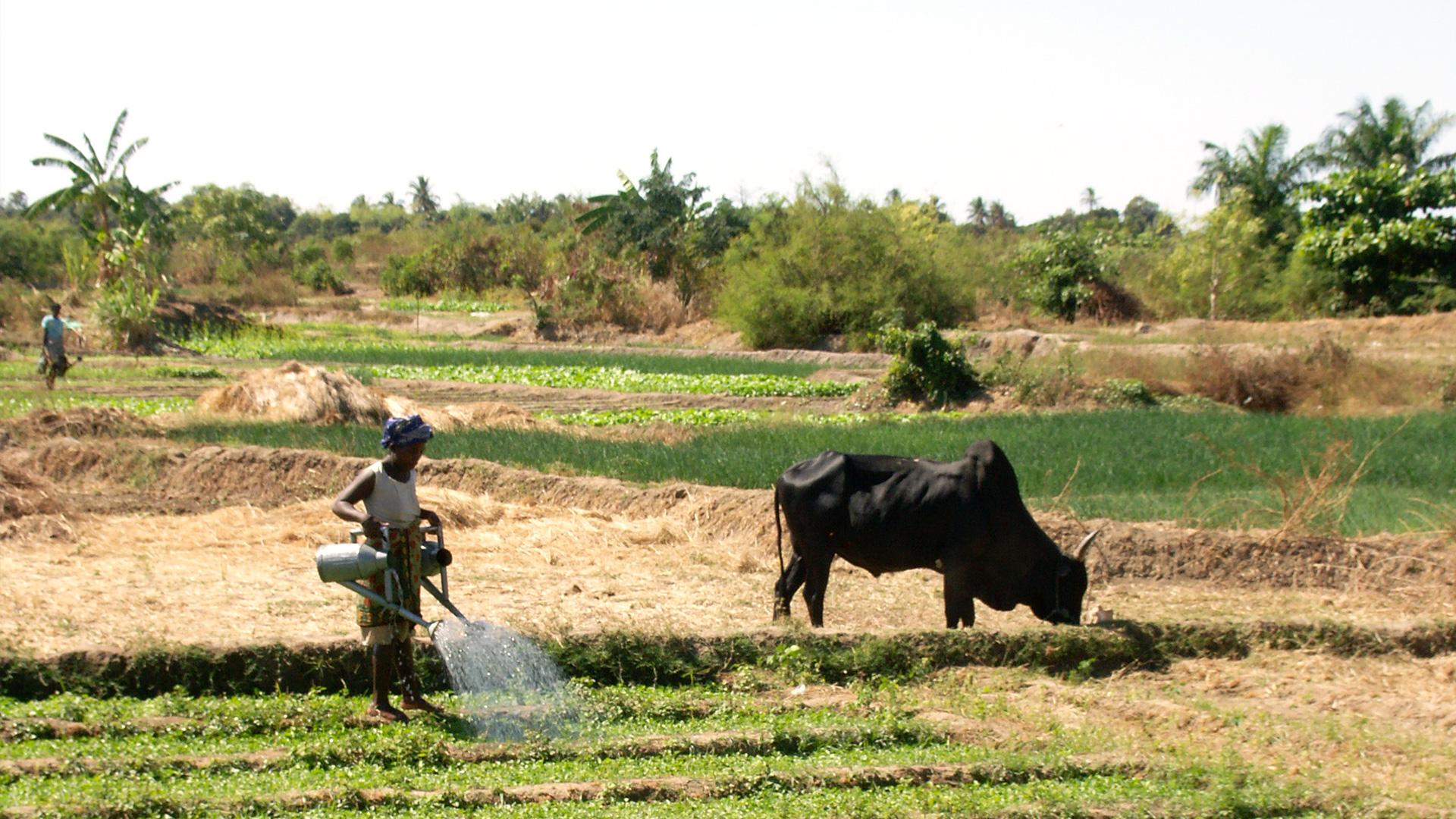 découvrez les dernières innovations agricoles durables qui transforment l'agriculture en offrant des solutions écologiques, améliorant la productivité et préservant notre environnement pour les générations futures.