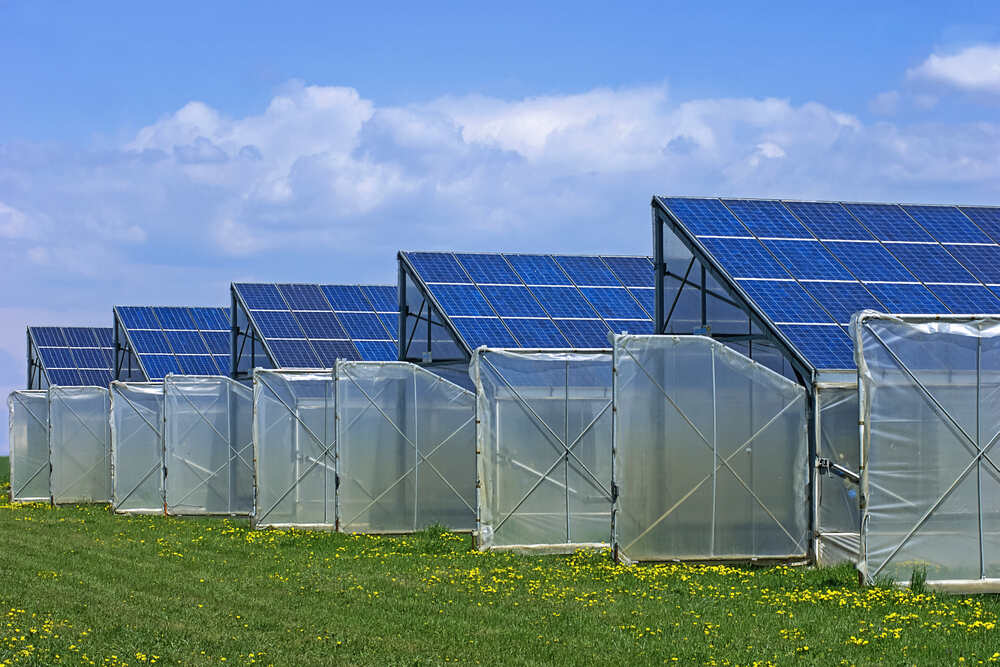 découvrez les dernières innovations photovoltaïques agricoles qui transforment le paysage de l'agriculture durable. explorez comment ces technologies révolutionnent la production d'énergie tout en préservant l'environnement et en optimisant les rendements des cultures.