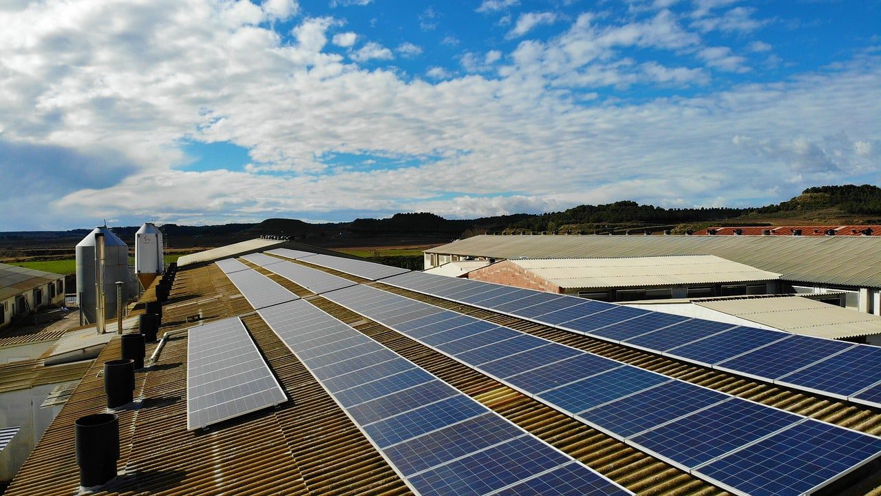découvrez comment intégrer efficacement un hangar photovoltaïque dans votre projet. optimisez votre espace tout en bénéficiant d'énergies renouvelables pour une agriculture durable et écoresponsable.