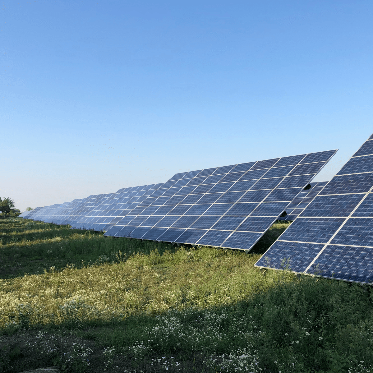 découvrez comment investir dans une ferme solaire pour profiter d'énergies renouvelables, générer des revenus passifs et contribuer à la transition énergétique. informez-vous sur les avantages fiscaux, les rendements attractifs et l'impact écologique positif de cet investissement durable.