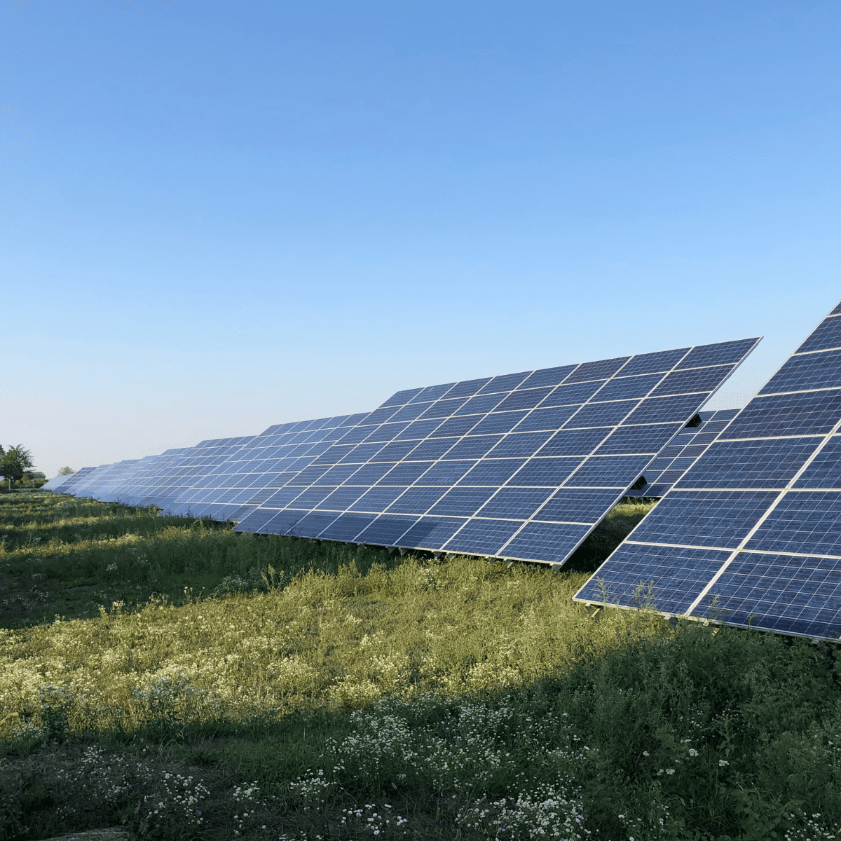 découvrez comment investir dans un hangar photovoltaïque pour optimiser votre production d'énergie renouvelable et bénéficier d'avantages fiscaux. explorez les opportunités offertes par cette solution durable qui allie rentabilité et respect de l'environnement.