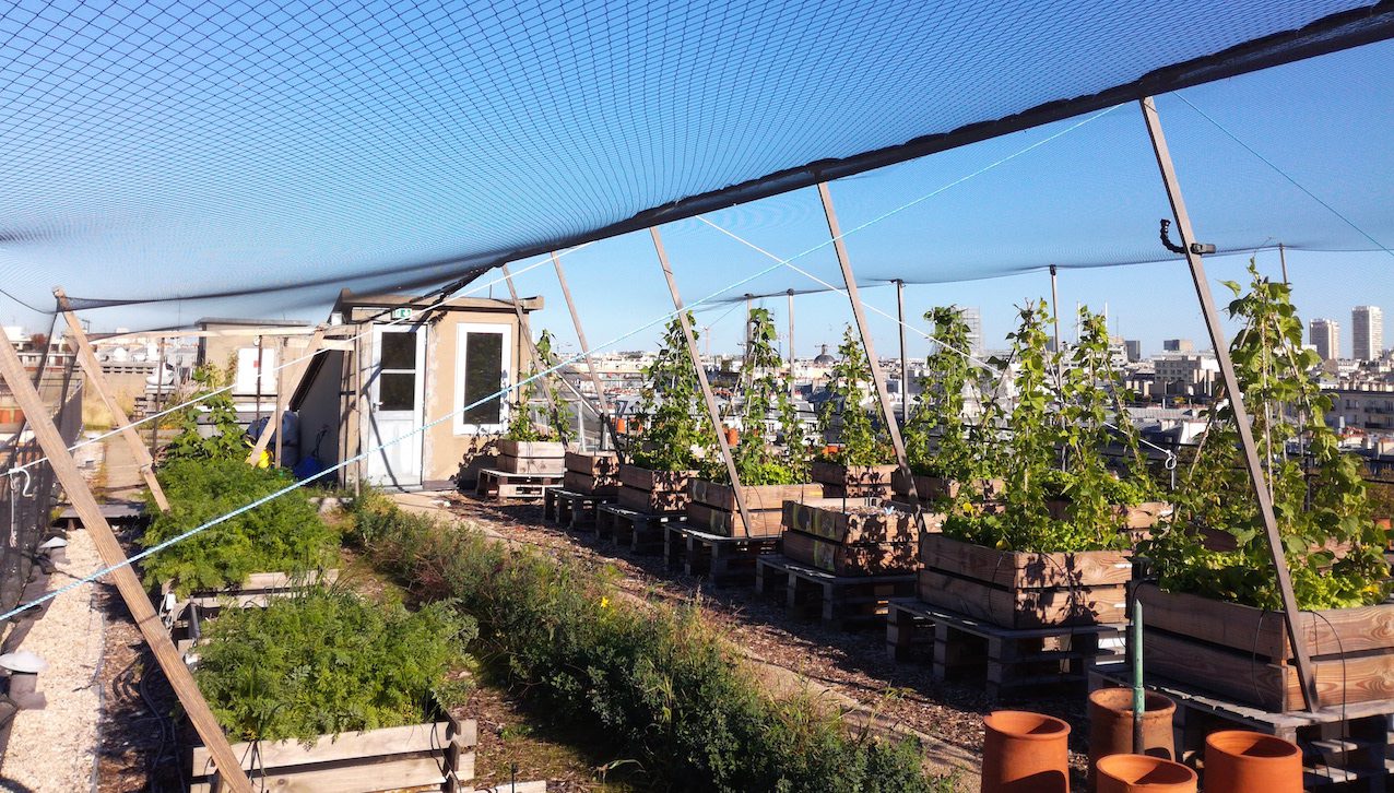 découvrez comment créer votre propre jardin potager urbain, même dans un espace limité. apprenez à cultiver des légumes frais, des herbes aromatiques et à profiter d'une alimentation saine tout en embellissant votre environnement urbain.