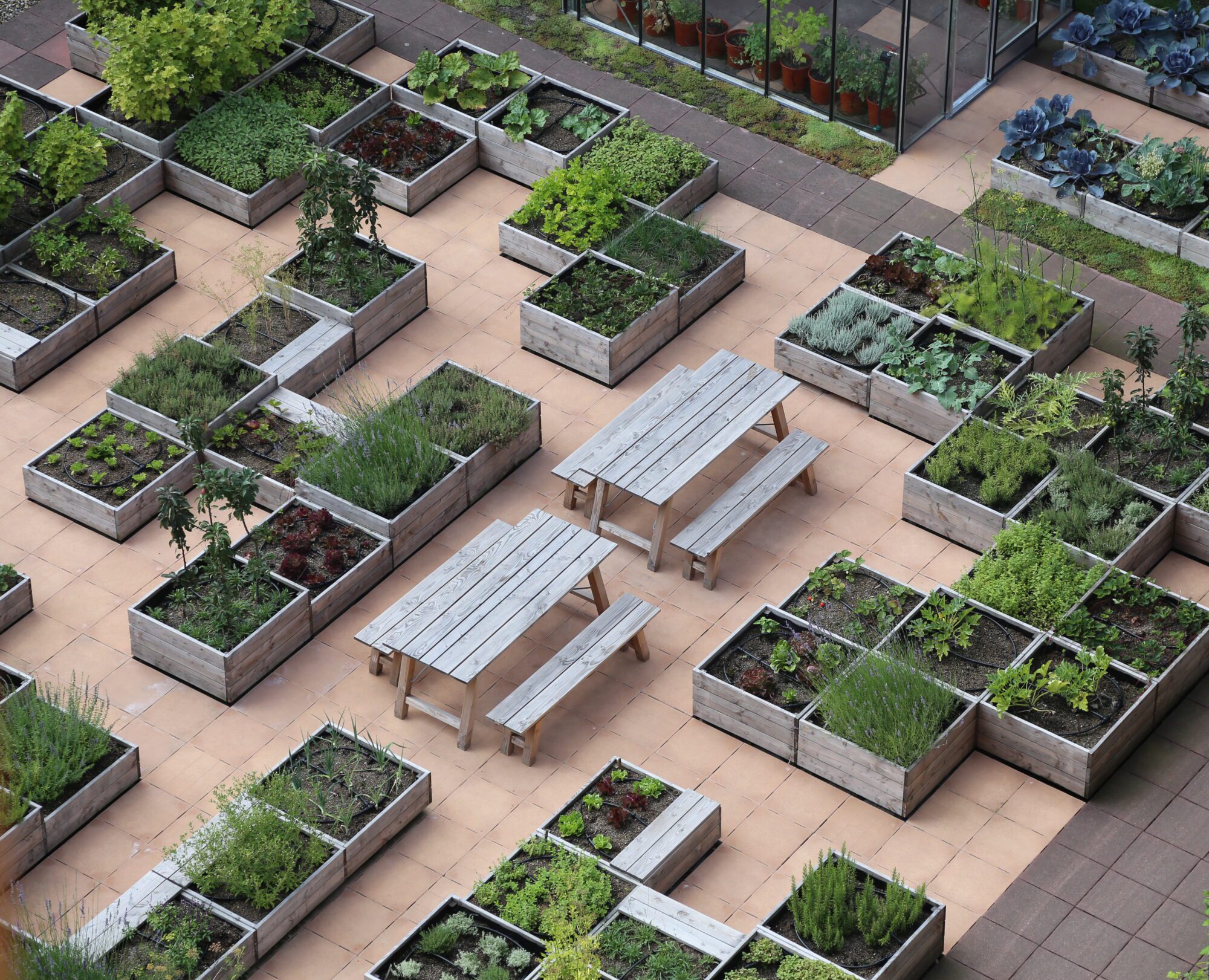 découvrez l'univers des jardins potagers urbains et apprenez à cultiver vos propres fruits et légumes en milieu citadin. transformez votre balcon ou votre petit espace en un potager florissant, contribuant à une alimentation saine et durable, tout en embellissant votre environnement.