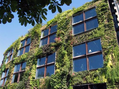 découvrez les jardins verticaux, une solution innovante et esthétique pour verdir vos espaces. apprenez à créer votre propre mur végétal, à choisir les plantes adaptées et à entretenir votre jardin vertical pour profiter d'un oasis de nature au cœur de la ville.